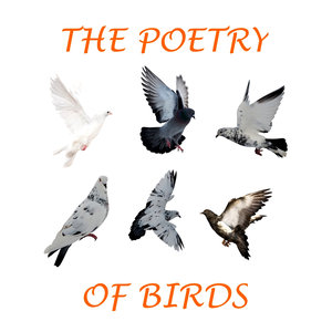Thomas Hardy - Birds at Winter Nightfall (Triolet)