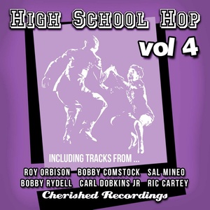 High School Hop, Vol. 4