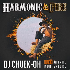 Harmonic on Fire