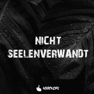 nicht seelenverwandt (Explicit)