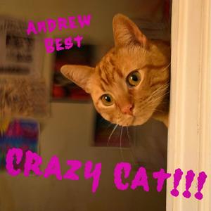 Crazy Cat!!!