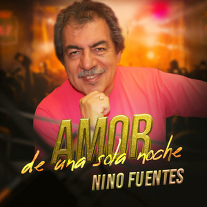 AMOR DE UNA SOLA NOCHE