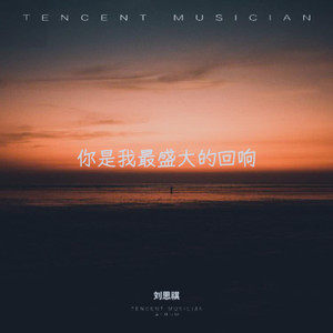 你是我最盛大的回响