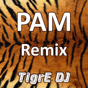 PAM (Remix)