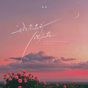 城南花开你不在