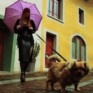 Monopole (Explicit)