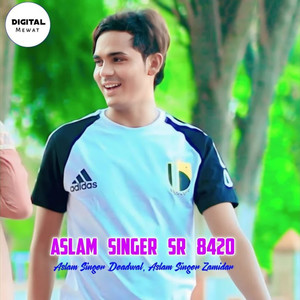Aslam Singer SR. 8420