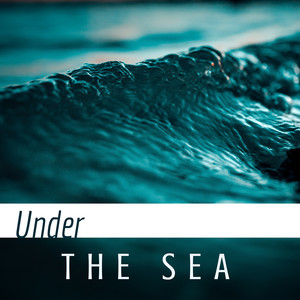 Under the Sea - Deeply Relaxing Underwater Sounds