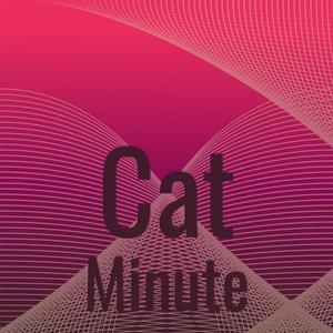 Cat Minute