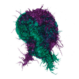 The Brave Ones Have All Left Us