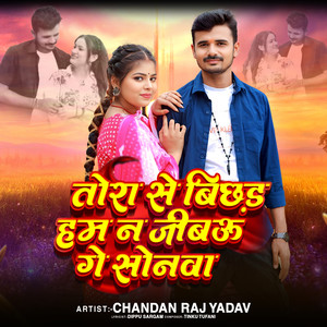 Tora Se Bichhad Ke Ham Na Jiybau Ge Sonwa