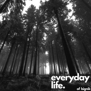 Everyday Life (Explicit)