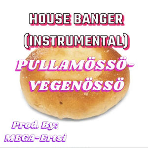 PULLAMÖSSÖ (HOUSE BEAT INSTRUMENTAL)