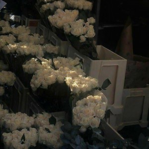 不只爱情-DJ版 (DJ版)