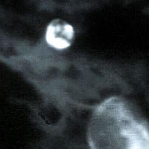 xo angel+ (Explicit)