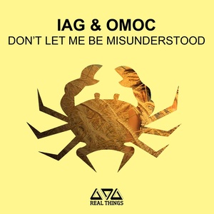 Don't Let Me Be Misunderstood