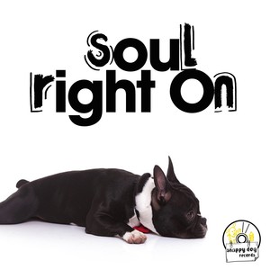 Cinetic Kmk (Raw Kinetic Mix)