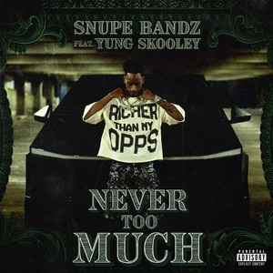 Never Too Much (Explicit)