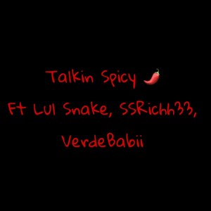 Talkin Spicy! (feat. Lul snake, SSRichh33 & VerdeBabii) [Explicit]