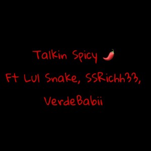 Talkin Spicy! (feat. Lul snake, SSRichh33 & VerdeBabii) (Explicit)