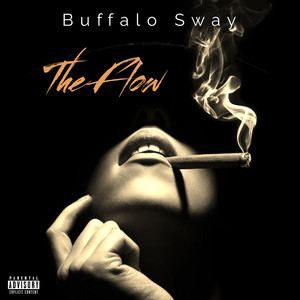 The Flow (Explicit)