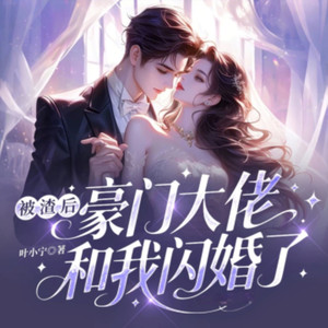 062 舅舅，宁阿姨她不喜欢香槟玫瑰 (DJ长音频)封面