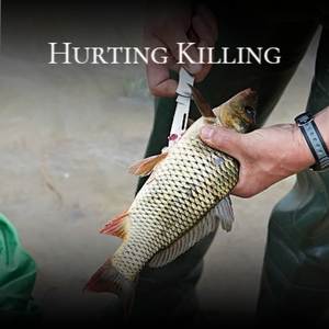 Hurting Killing