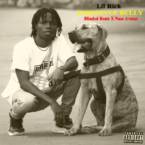 Freestyle Bully (Explicit)