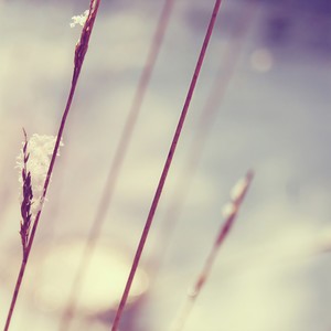 海来阿本 - 高攀 (秒针版)