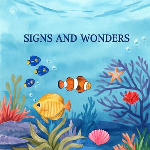 SIGNS AND WONDERS (feat. i.Man)