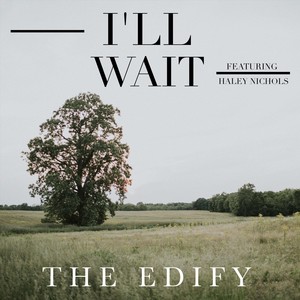 I'll Wait (feat. Haley Nichols)