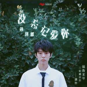 没忘记爱你