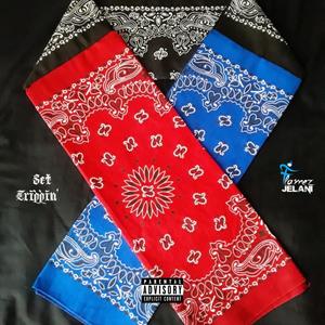 SETTRIPPIN' (Explicit)