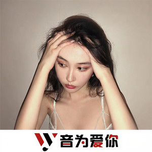 凤舞九天 (DJ版)