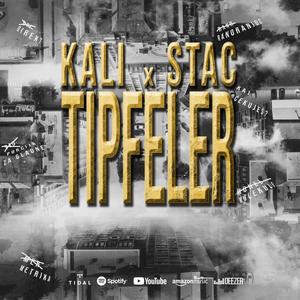 Tipfeler (feat. Kali) (Explicit)
