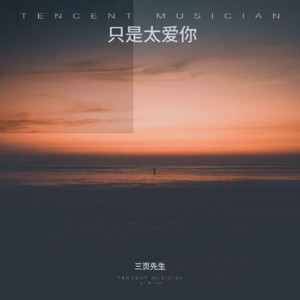 只是太爱你 (因为我不知道下一辈子还是否能遇见你)