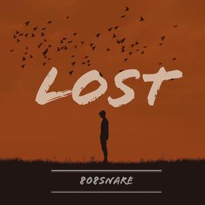 Lost