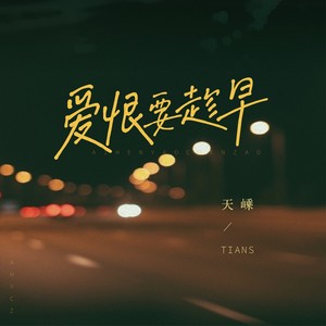 爱恨要趁早封面