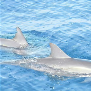 行在风雨中 就别怕被淋湿