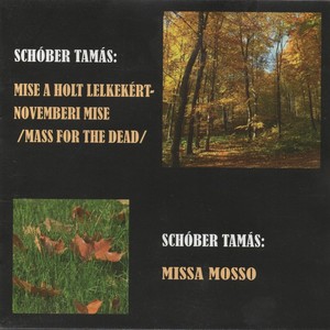 Novemberi Mise - V. Agnus Dei