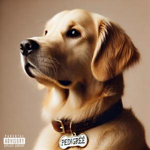 Rottweiler (Explicit)