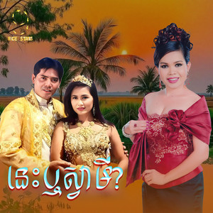 នេះឬស្វាមី (From 