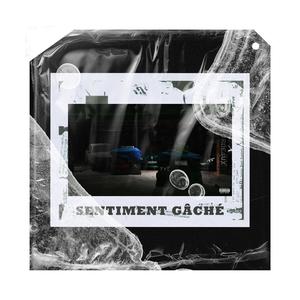Tard Le Soir (feat. RDZ) (Explicit)