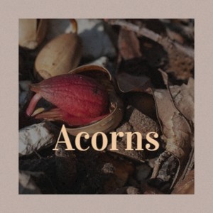 Acorns