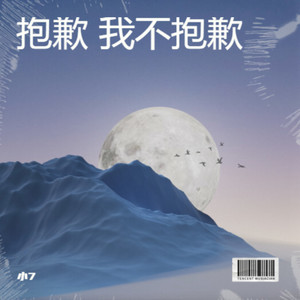 抱歉 我不抱歉