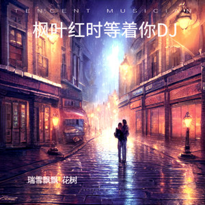 枫叶红时等着你 (DJ版)