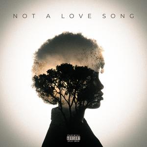 Not A Love Song (Explicit)