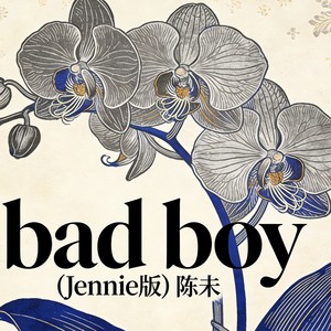 陈未 - bad boy (Jennie版)