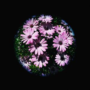 No Somos Nada (feat. Joe Gi)