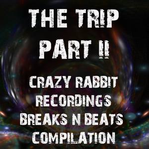 The Trip, Pt. II (Breaks 'n' Beats) (Explicit)